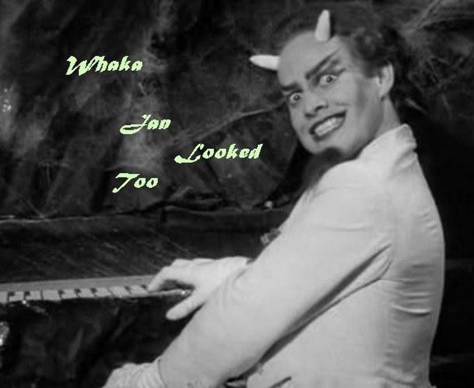 Whakamarumaru - Jan Looked Too