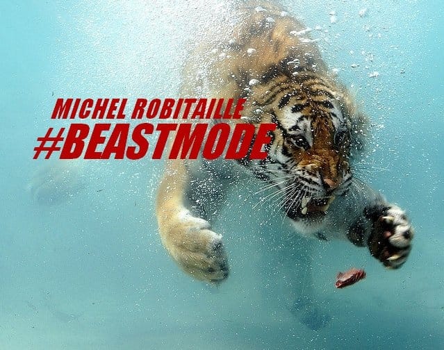 Vepik - #BEASTMODE