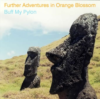 Buff My Pylon - Further Adventures In Orange Blossom