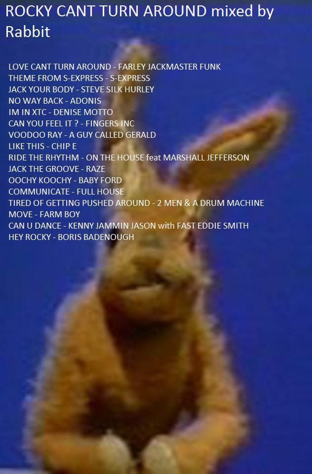 Rabbit - Rocky Can’t Turn Around