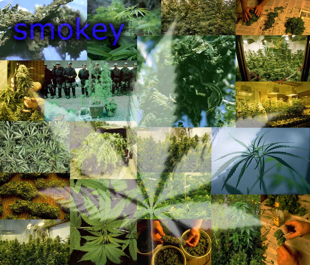 Strepsil - Smokey