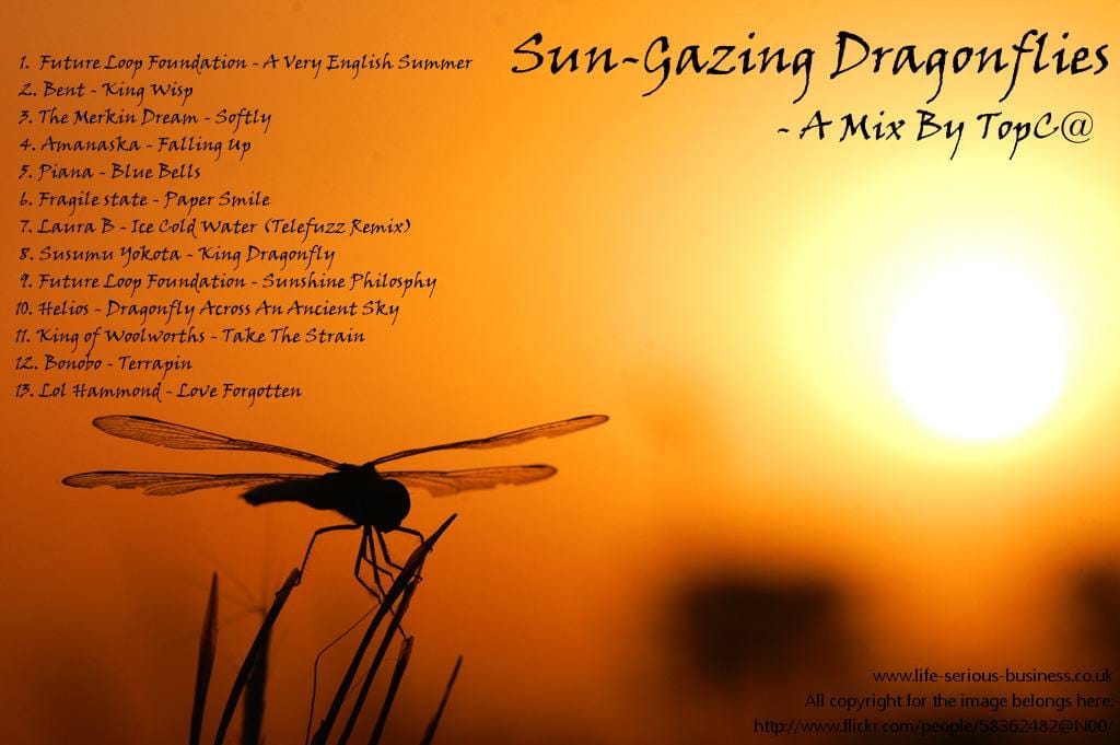TomC - Sun Gazing Dragonflies