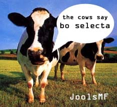 Jools MF - The Cows Say Bo Selecta