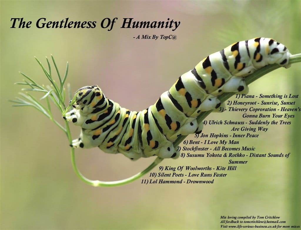 TomC - The Gentleness Of Humanity