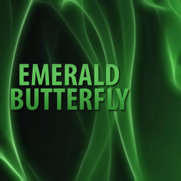 Trap.Track - Emerald Butterfly