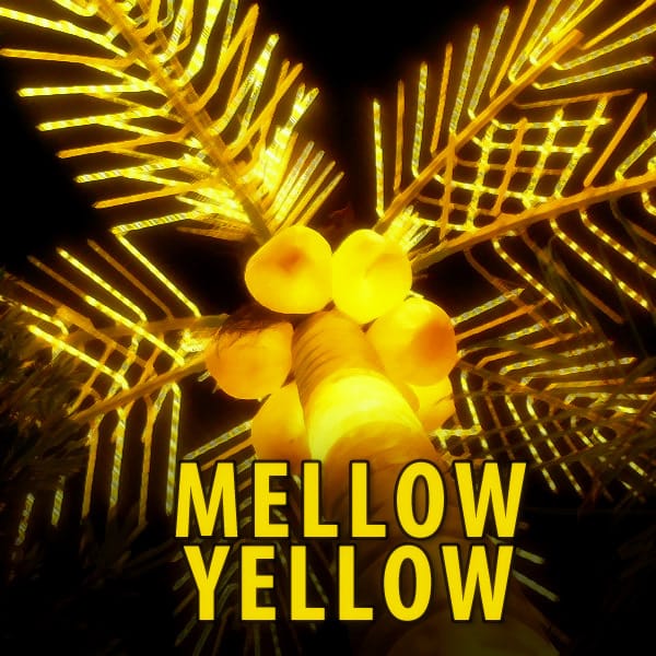 Trap.Track - Mellow Yellow