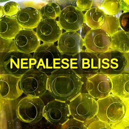 Trap.Track - Nepalese Bliss