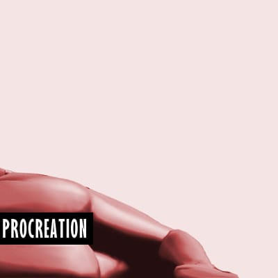 Trap.Track - Procreation