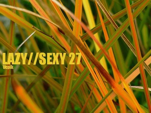 Vepik - Lazy//Sexy 27 – The Backyard