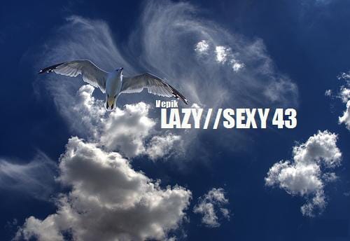 Vepik - Lazy//Sexy 43 – Seagull Session