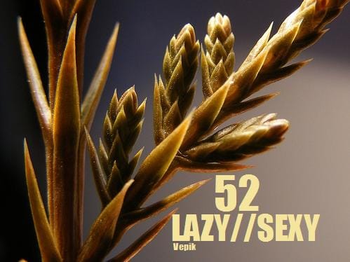 Vepik - Lazy//Sexy 52 – Awakening