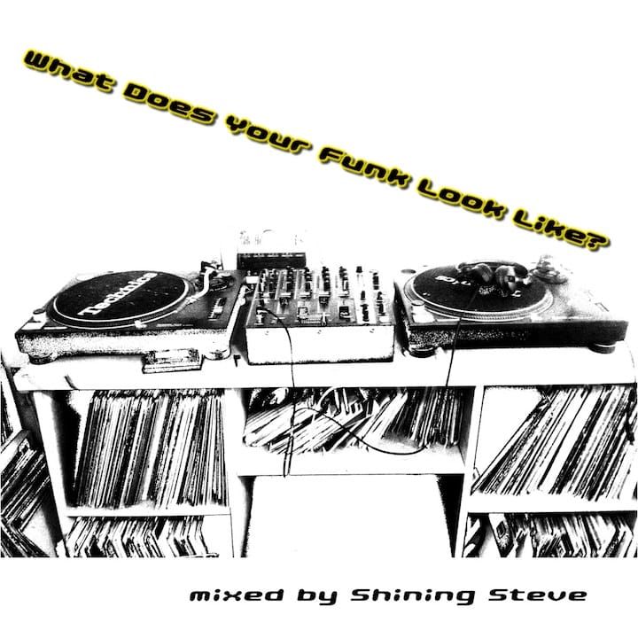 Shining Steve - What Does Your Funk Look Like?