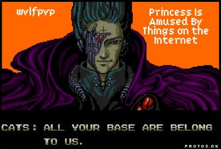 wvlfpvp - Princess Is Amused By Things On The Internet