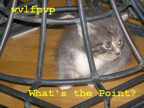 wvlfpvp - What’s The Point?