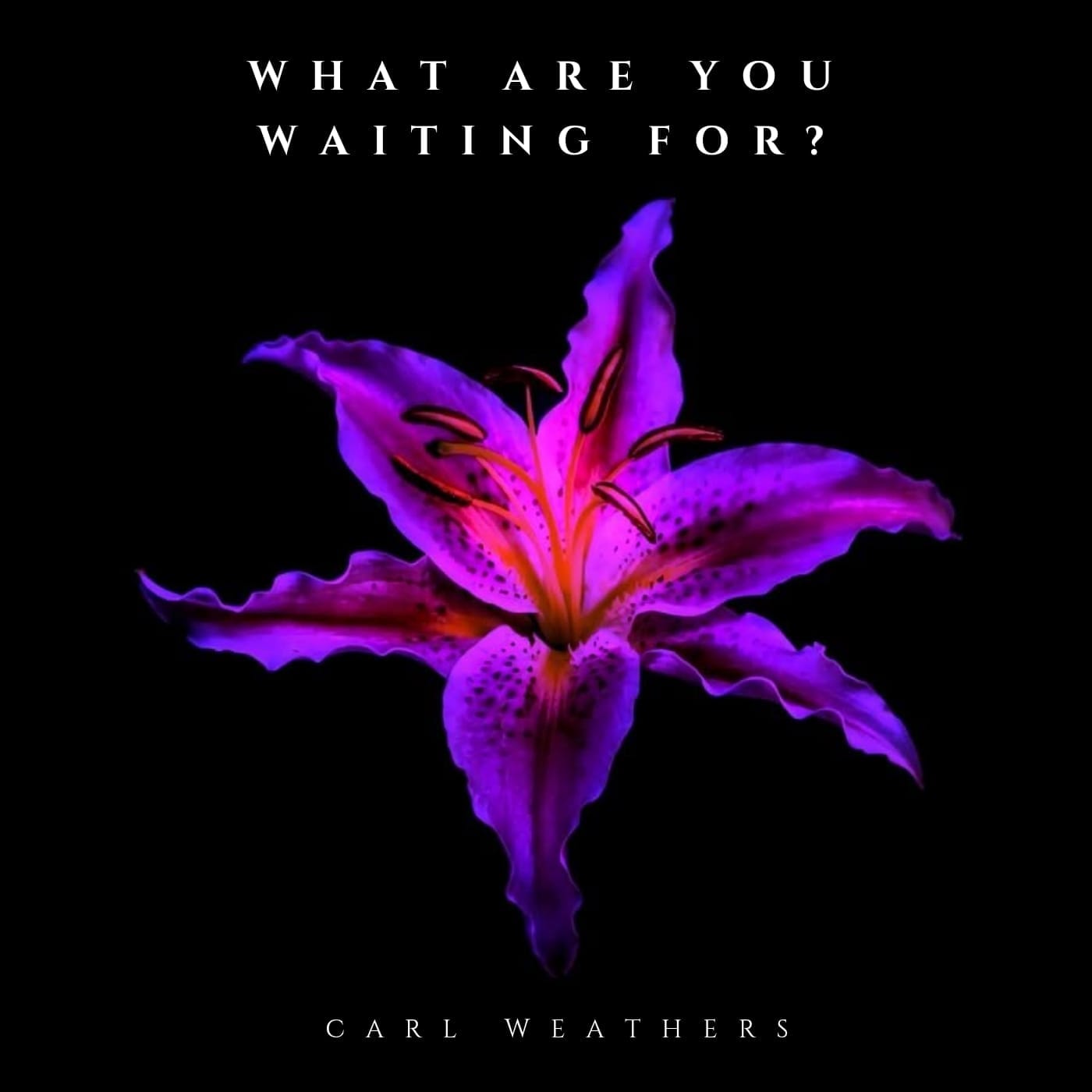 Carl Weathers - What Are You Waiting For?