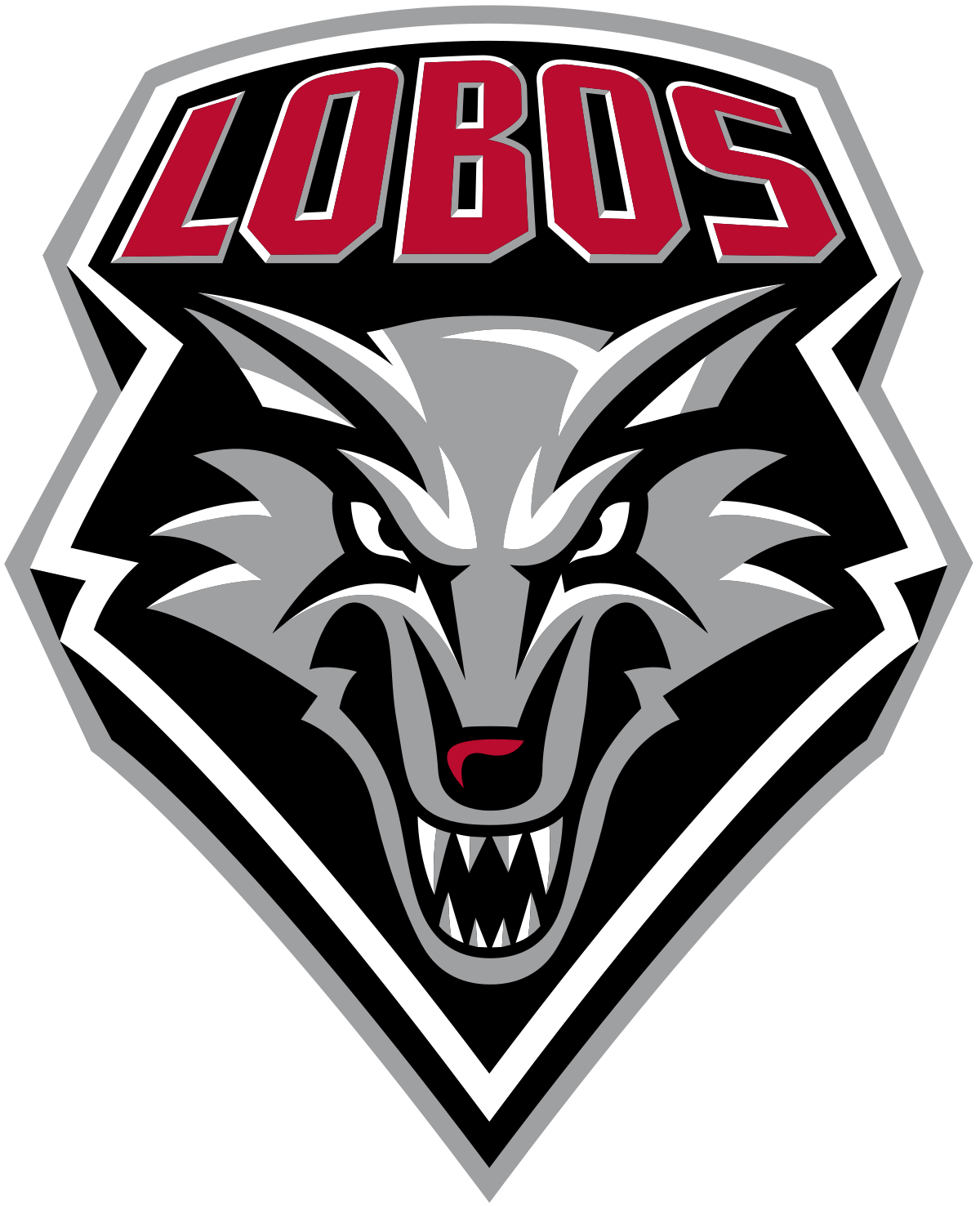 New Mexico Distance Recruiting Class - Class of 2025