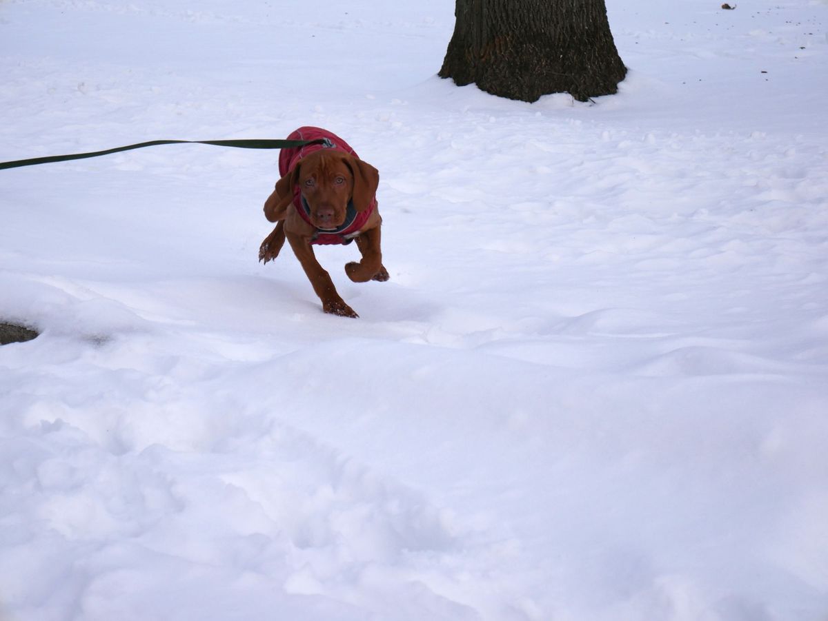 You Can Walk in Winter