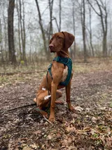 The Antidote To Most Ick: Curiosity and Gratitude