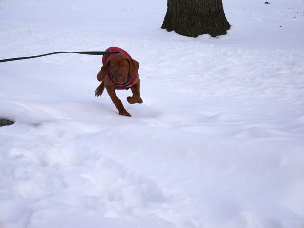 You Can Walk in Winter
