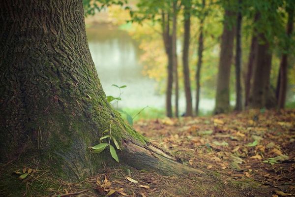 How to Stay Grounded for a Strong New Year