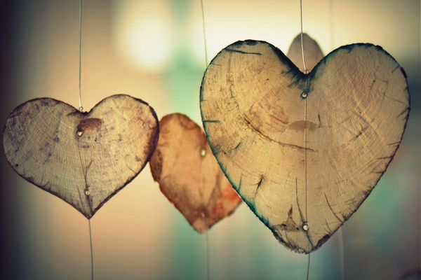 A Collection of Gratitude Reflections