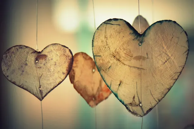 A Collection of Gratitude Reflections