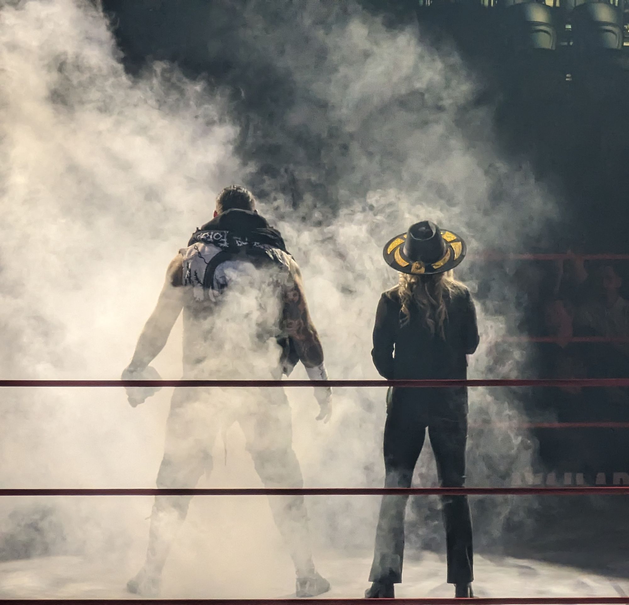 Professional Wrestling: a story told using Ritual and Force