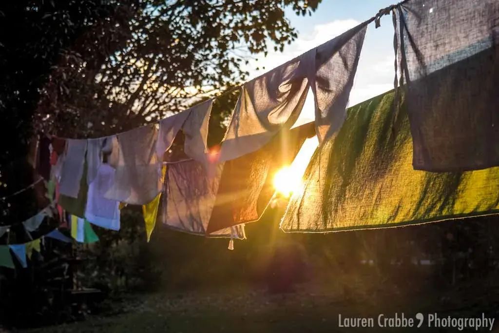 Good, Good Life: A Reminder.