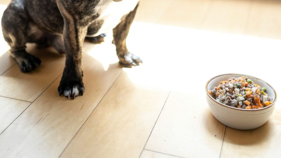 The Art of Dog Fooding