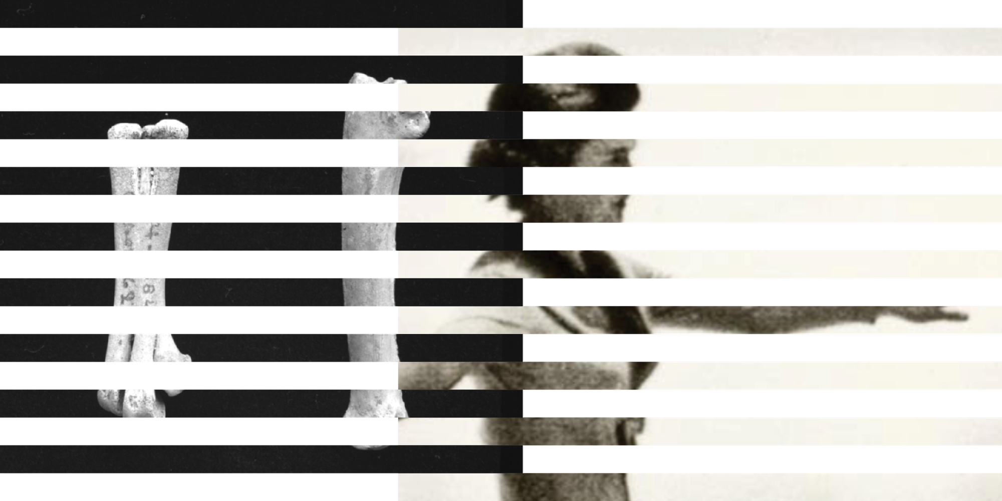 Exploring CommonsDB’s role in AI training data