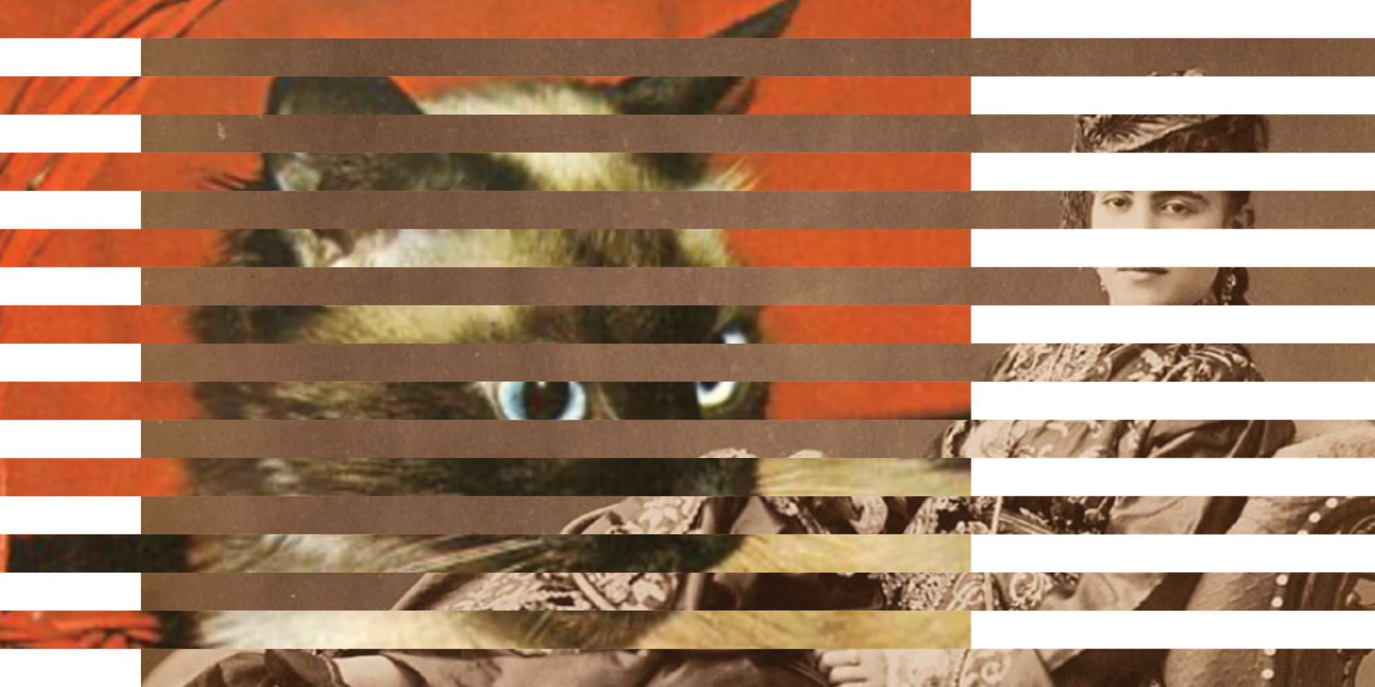 CommonsDB Feasibility Study part 2: from Design to Deployment