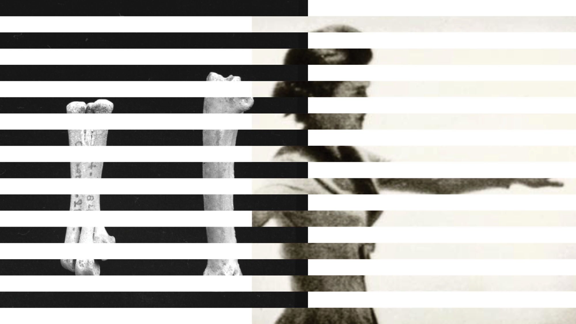 CommonsDB surpasses 1 million declarations