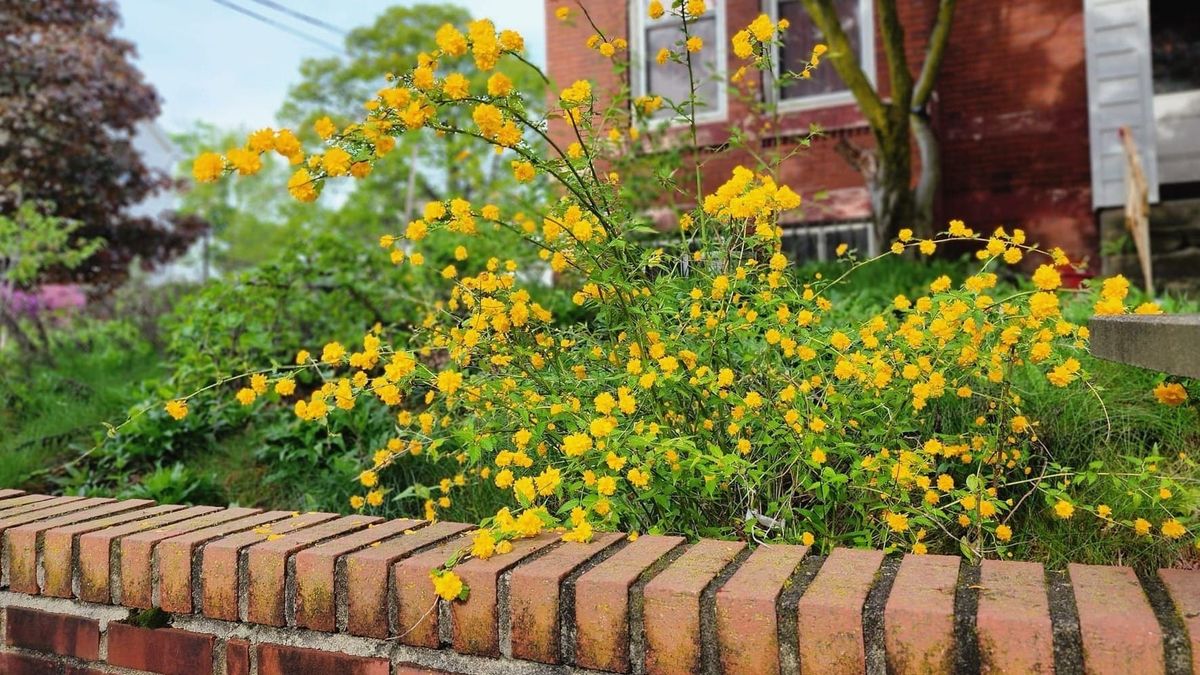 Public Event: Co-Op Mixer and Quarterly Planning Meeting (6/29/25)