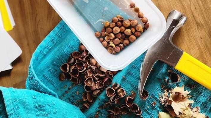 September 2025 Update