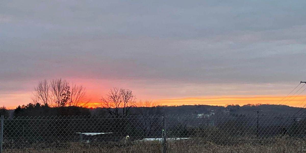 Let Me Tell You About the Swamp