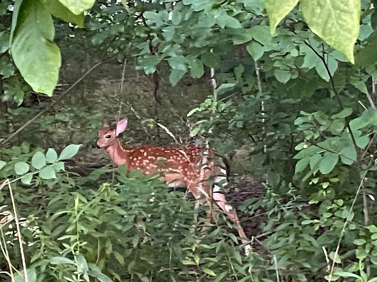 Give Me One More Chance