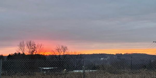 Let Me Tell You About the Swamp