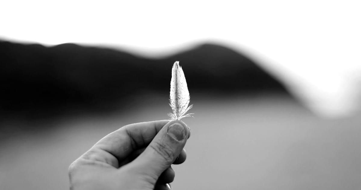 Foto di una mano che tiene una piccola piuma bianca con pollice ed indice.