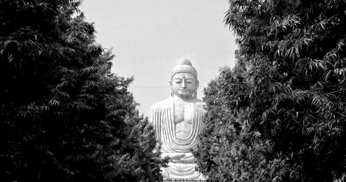 Foto di una grande statua di Buddha di colore bianco tra gli alberi. 