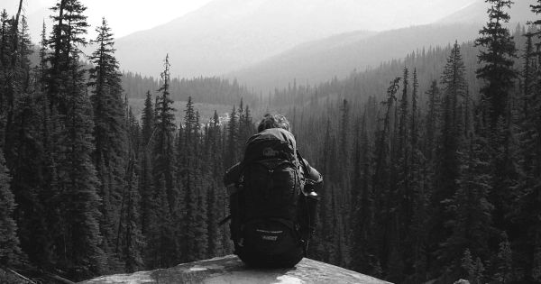 Foto di un esploratore con uno zaino, seduto di spalle mentre guarda una foresta. 