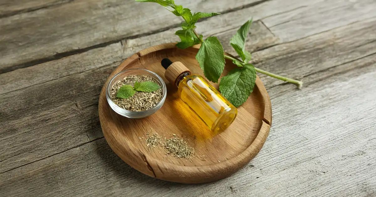 Das außergewöhnliche Oregano-Öl