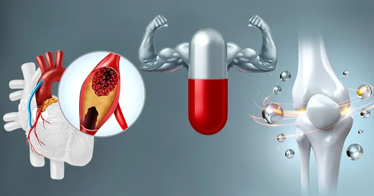 Die umfassende Rolle von Vitamin K2 für die menschliche Gesundheit