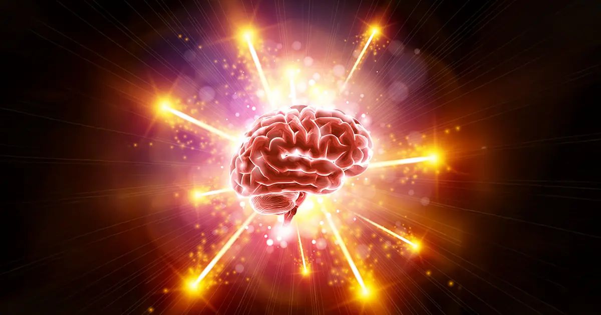 Auch normale B12‑Werte könnten für ein gesundes Gehirn zu niedrig sein