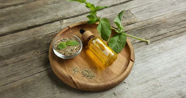 Das außergewöhnliche Oregano-Öl