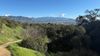 A sweeping view of the peaks of the Angeles Crest from Griffith Park with green grass, oak trees, and a trail