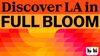 An LA28 graphic showing yellow, orange and pink graphics in an abstract flower shape that reads Discover LA in FULL BLOOM