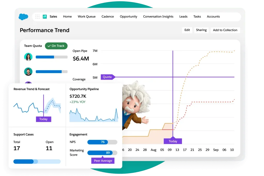 Salesforce CRM&nbsp;