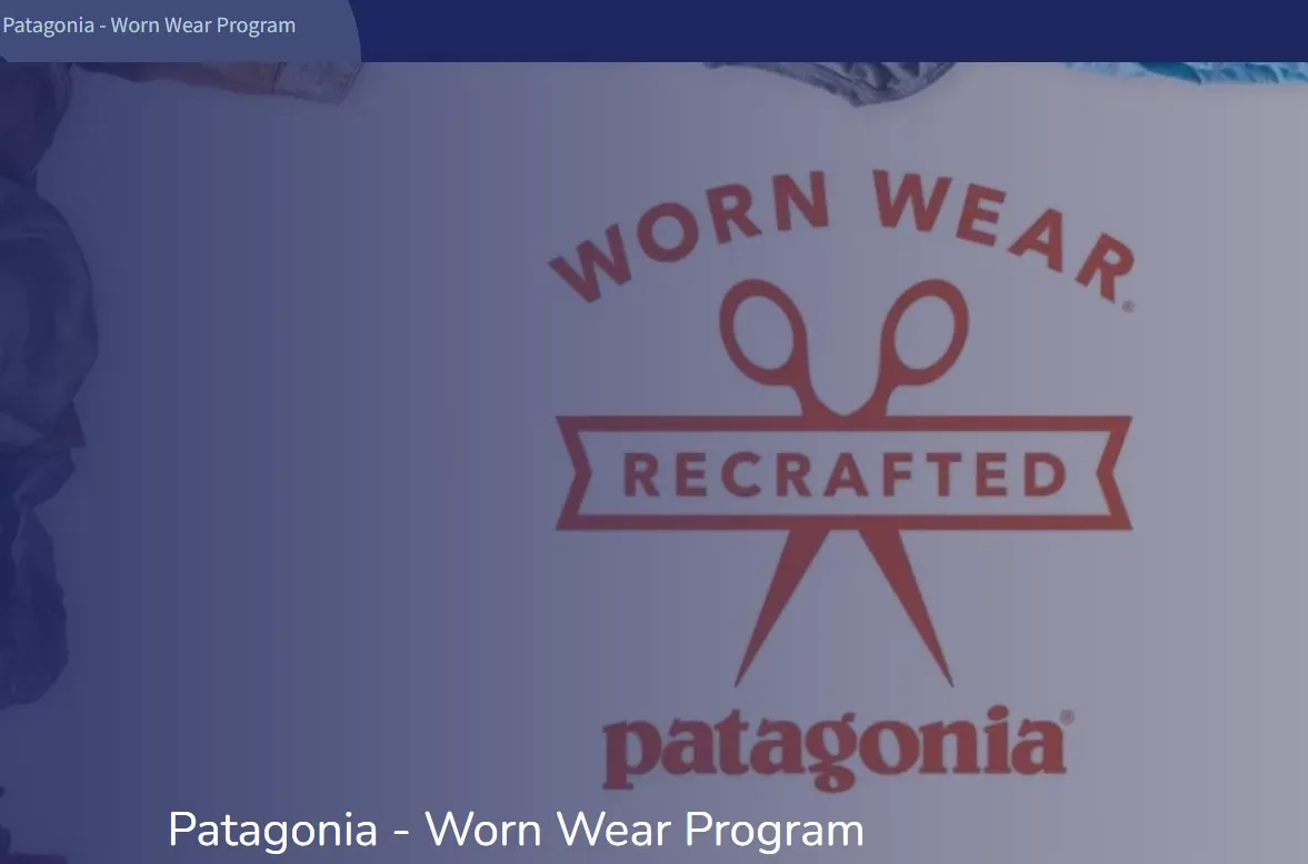 Patagonia Worn Wear Program