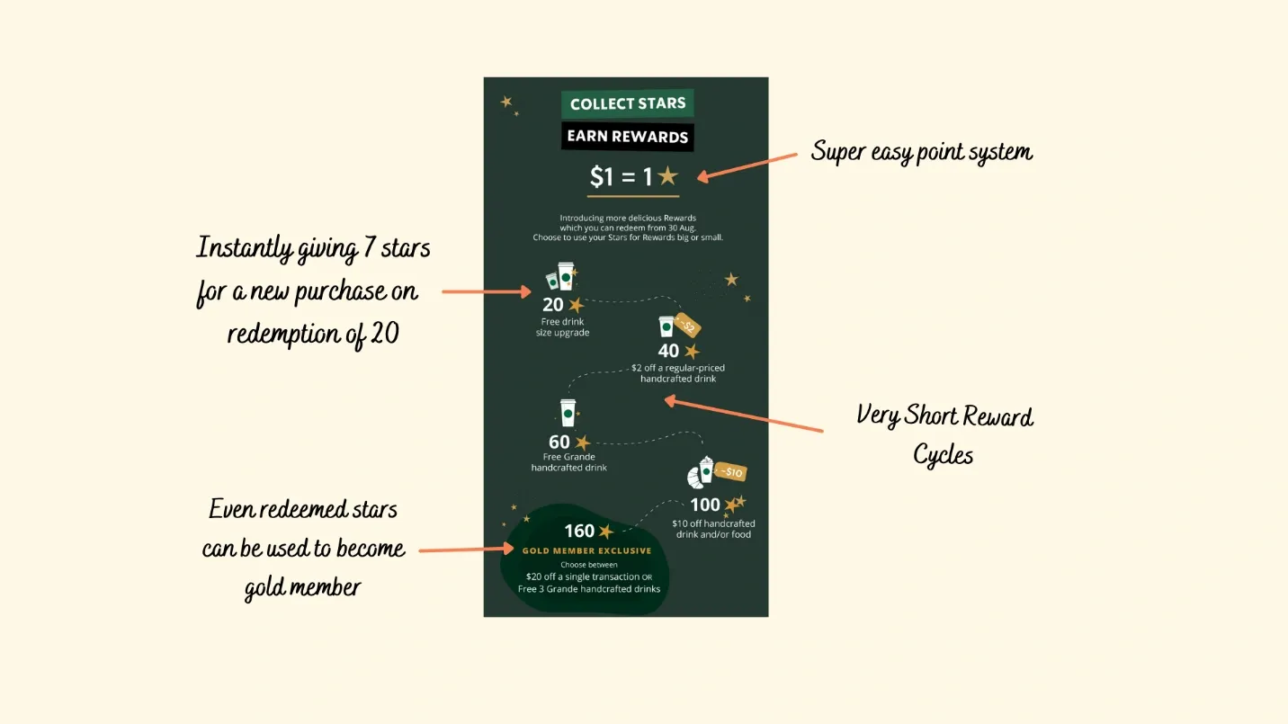 Starbucks Rewards Program Infographic