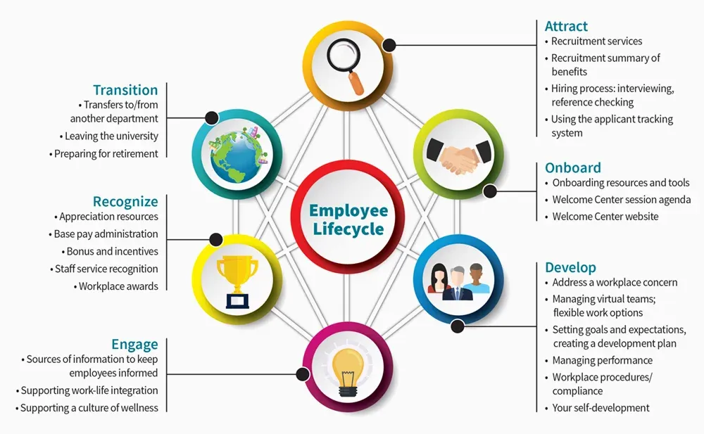 steps to conduct employee lifecycle surveys&nbsp;